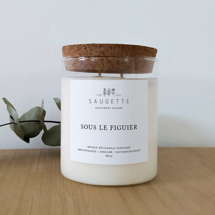 Bougie sous le figuier Saugette