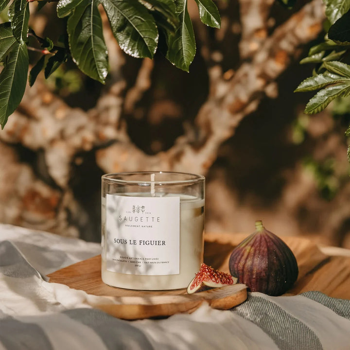 Bougie sous le figuier Saugette