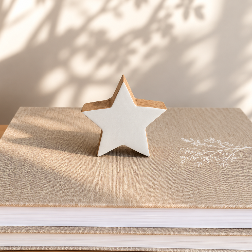 Etoile en bois blanche