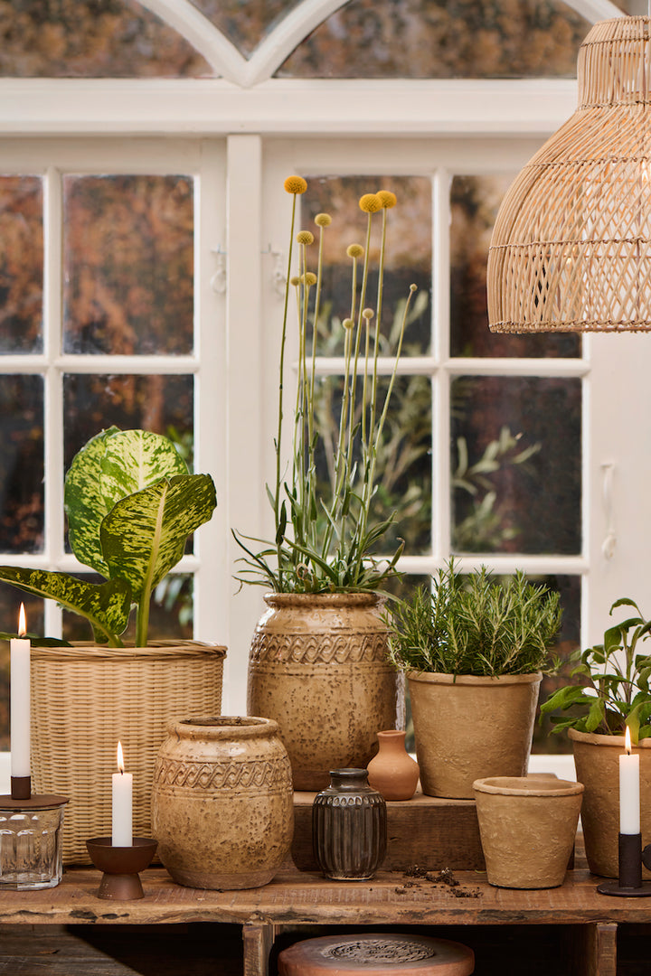 Bamboo basket / planter
