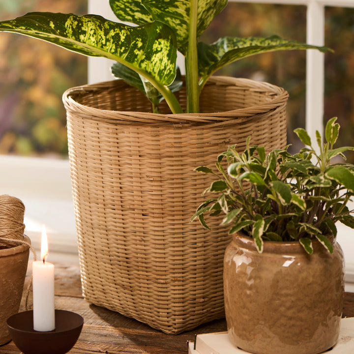Bamboo basket / planter
