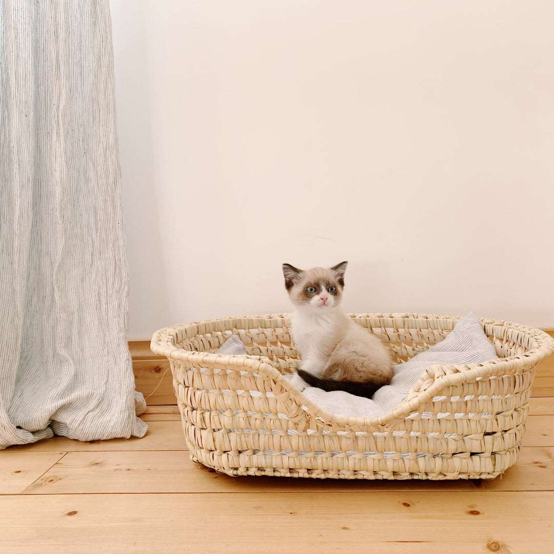 Panier pour chat ou petit chien en feuilles de palmier