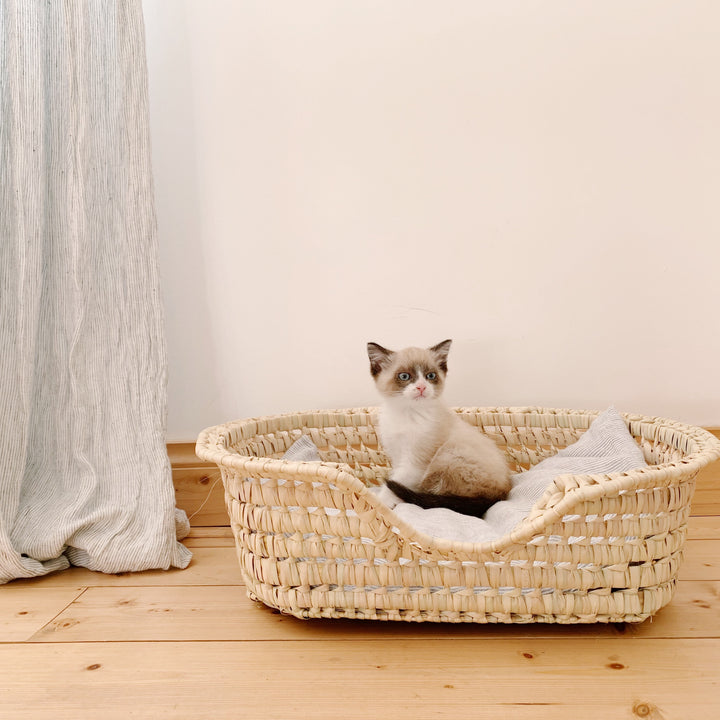 Panier pour chat ou petit chien en feuilles de palmier