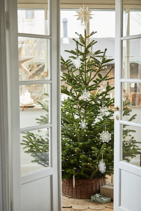 etoiçle-pour-sapin-de-noel